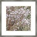 White Wild Flowers Framed Print