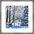 Whitehouse Village Park  7360 Framed Print