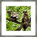 Whooo Are You Looking At Framed Print