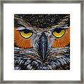 Whooo Is Looking At You? Framed Print