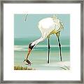 Whooping Crane In Color Framed Print