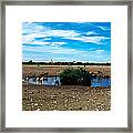 Wild Animals At A Waterhole, Etosha Framed Print