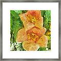 Wild Flowers Framed Print