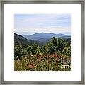 Wild Lilies With A Mountain View Framed Print