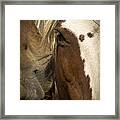 Wild Mustangs Of New Mexico 32 Framed Print