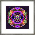 Wild Orchid Framed Print