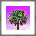 Wild Palm 4 Framed Print