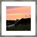 Wild Silhouette At Sunset Framed Print