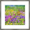 Wildflower Beauty Framed Print