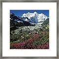 Wildflowers And Kangshung Glacier Framed Print