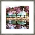 Wildwood Framed Print