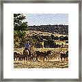 Williamson Valley Roundup 6 Framed Print