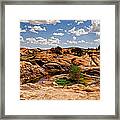 Willow Lake Framed Print