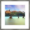 Willow Trees Of Glenorchy Framed Print