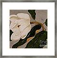 Windblown Magnolia Framed Print