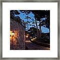 Winding Way Framed Print