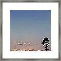 Windmill Sunset Framed Print