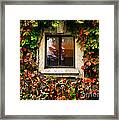 Window And Autumn Ivy Framed Print