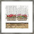 Window Boxes Framed Print