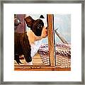 Window Cleaner Framed Print