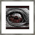 Window To His Soul Framed Print