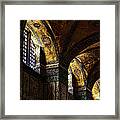 Windows In The Blue Mosque Framed Print