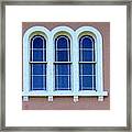 Windows Of Charleston 8 Framed Print