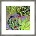 Windy Framed Print