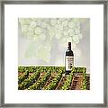 Wine Framed Print