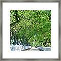 Winery Road Framed Print