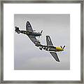 Wings And Rudder Framed Print