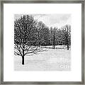 Winter At The Golf Course Framed Print
