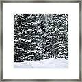 Winter Bliss Framed Print