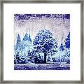 Winter Blues Framed Print