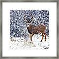 Winter Buck Framed Print