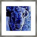 Winter Buffalo Framed Print