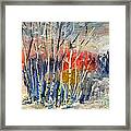 Winter Colors Framed Print