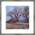 Winter Dawn Moon And Tree Landscape Framed Print