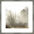 Winter Fog And Trees Framed Print