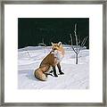 Winter Fox Framed Print