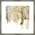 Winter Gold Framed Print