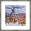 Winter In Bryce Canyon Framed Print