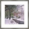 Winter In Central Park, Nyc Framed Print