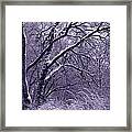 Winter In Purple Framed Print