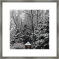 Winter In Swing Framed Print