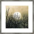 Winter Into Spring Framed Print