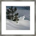 Winter Light Framed Print