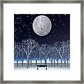 Winter Moon In City Park Framed Print