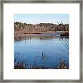 Winter On The Pond Framed Print