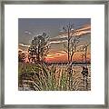 Winter On The Waccamaw River Framed Print